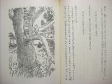 他の写真2: 【岩波少年文庫】Ａ.Ａ.ミルン／E.H.シェパード「クマのプーさん」1968年　※旧版