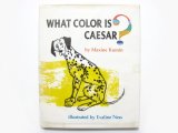 エバリン・ネス「WHAT COLOR IS CAESAR?」1978年