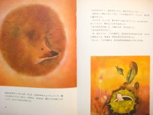 他の写真2: 【チェコの絵本】オタ・ヤネチェク「鳥のうたにみみをすませば」1980年