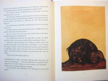 他の写真1: トミ・ウンゲラー「Das große Buch der kleinen Tiere」1989年
