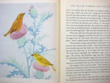 他の写真2: ファーン・ビーセル・ピート「THE BIRD BOOK」1931年
