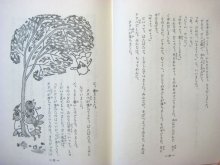 他の写真1: 今井誉次郎／安泰「たぬき学校」1979年