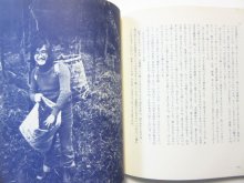 他の写真3: 田島征三「画集　草の絵本」1977年
