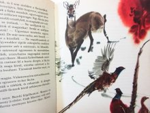 他の写真3: 【チェコの絵本】ミルコ・ハナーク「bambi」1971年