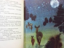 他の写真2: 【チェコの絵本】ミルコ・ハナーク「bambi」1971年