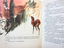 他の写真1: 【チェコの絵本】ミルコ・ハナーク「bambi」1971年