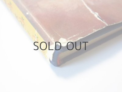 画像4: 【ロシアの絵本】チェコフスキー／コナシェーヴィチ、ヴァスネツォフ他「Сказки」1972年