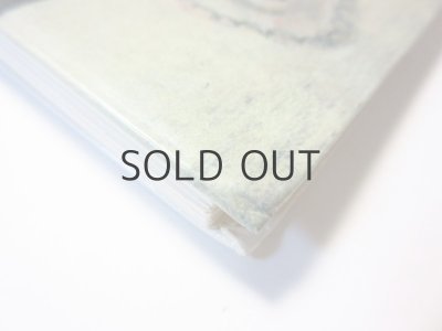 画像3: 【ロシアの絵本】チュコフスキー／ヴァスネツォフ、ミトゥーリチなど「Сказки」1991年