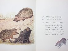 他の写真3: 【ロシアの絵本】マルシャーク／レーベジェフ「ねずみのぼうや」1976年