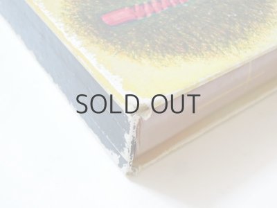 画像3: 坪田譲冶／武井武雄「子ども聖書」1965年