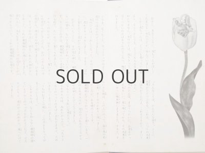 画像6: 【人形絵本】シバ・プロダクション「アンデルセン名作選2　おやゆびひめ」1968年