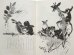 画像5: ヤーヌシ・グラビアンスキー画「動物童話集」1981年 (5)