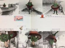 他の写真3: 【月刊たくさんのふしぎ】沼田元氣「ぼくは盆栽」1995年