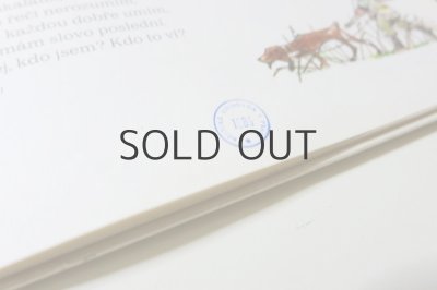 画像11: 【チェコの本】アドルフ・ザーブランスキー「Ceske lidove hadanky」1984年