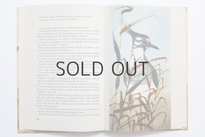 画像3: オタ・ヤネチェク「Cista srdce」1962年