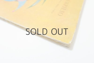 画像3: イグナツィ・ヴィッツ「PAMPILIO」1967年