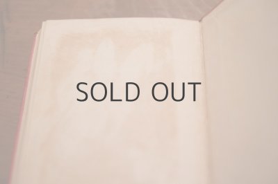 画像12: 【古本】 1890年 （THE RECTORY CHILDREN）