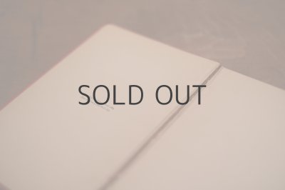 画像11: 【古本】 1890年 （THE RECTORY CHILDREN）