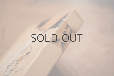 画像15: 【古本】 大正10年 （ガリバア旅行記）