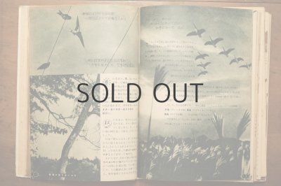 画像5: 【古本】昭和24年（総合版 科学グラフ 第一集）