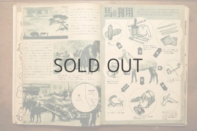 画像9: 【古本】昭和24年（総合版 科学グラフ 第一集）