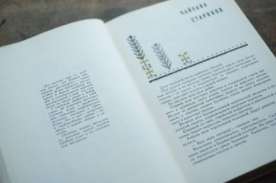 画像7: 【古本】1974年(ГОЛУБАЯ ПТИЦА)