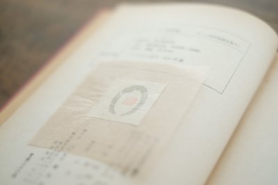 画像11: 【古本】昭和34年(ラング世界童話全集6 ちゃいろの童話集)