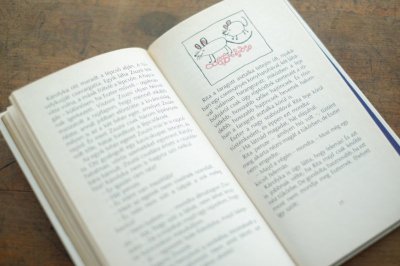 画像6: 【古本】1985年（Valaki mindig eltunik）