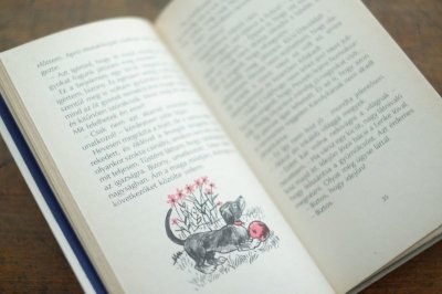 画像5: 【古本】1985年（Valaki mindig eltunik）