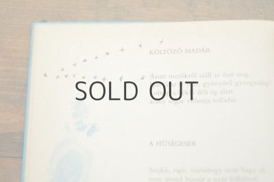 画像9: 【古本】1984年（FEGYVERTELEN VADASZ）