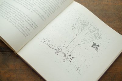 画像4: 【古本】1981年(Kisanna Kertorszagban)