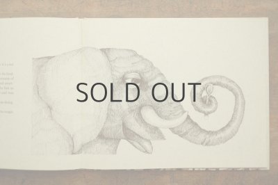 画像6: 【古本】1969年（Never Empty）