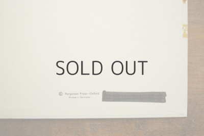 画像8: 【古本】1960年代（SCOTLAND）