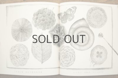 画像4: 【新品】 まつむらまいこ（松村真依子）「わたしはしらない」2020年 ※手製本／新版