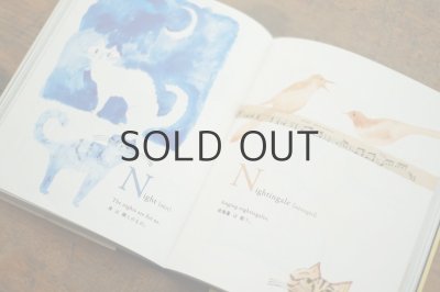 画像3: トラネコボンボン(中西なちお)「A Book Cat Dictionary」2019年 ※限定版