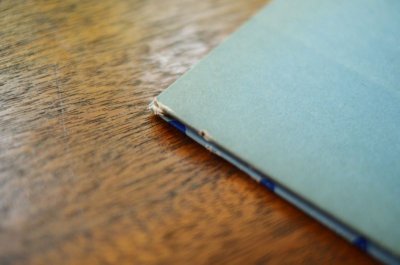 画像8: 【古本】Plynie Wisla, plynie... 1973年