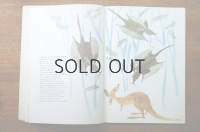 画像4: 【古本】Przygody kangurka Skoczka 1975年