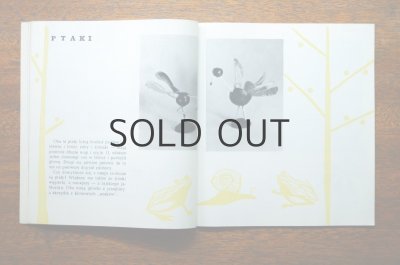 画像6: 【古本】ZROBIMY SAMI 1961年