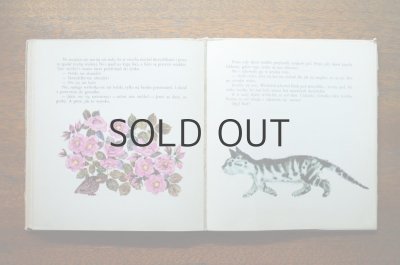 画像9: 【古本】Poczytajmy, posluchajmy 1969年