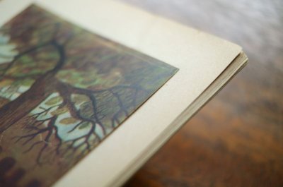 画像8: 【古本】SLOMKOWY LANCUSZEK 1954年