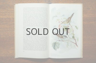 画像4: 【古本】Anmutiges Vogelbuchlein 1951年