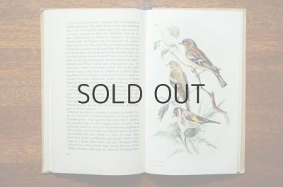 画像5: 【古本】Anmutiges Vogelbuchlein 1951年