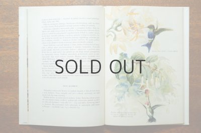 画像3: 【古本】Kolibry 1960年