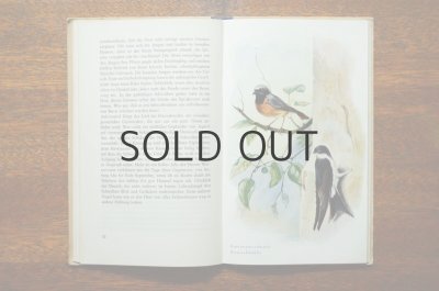 画像3: 【古本】Anmutiges Vogelbuchlein 1951年