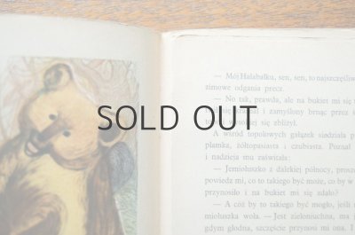 画像10: 【古本】Z przyqod Krasnala Halabaly 1955年