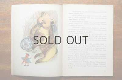 画像6: 【古本】Z przyqod Krasnala Halabaly 1955年