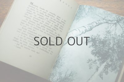 画像7: 【古本】SLONECZNE LATO 1952年