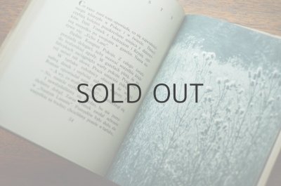 画像6: 【古本】SLONECZNE LATO 1952年