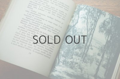 画像5: 【古本】SLONECZNE LATO 1952年