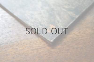 画像10: 【古本】SLONECZNE LATO 1952年